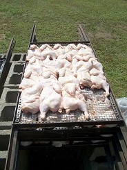 All Chicken Halves Loaded ...